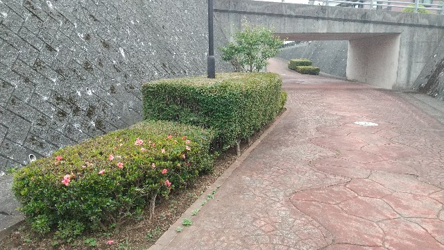 f:id:beat:20230613202425j:image f:id:beat:20230613202425j:image