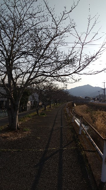 f:id:beat:20240322183736j:image