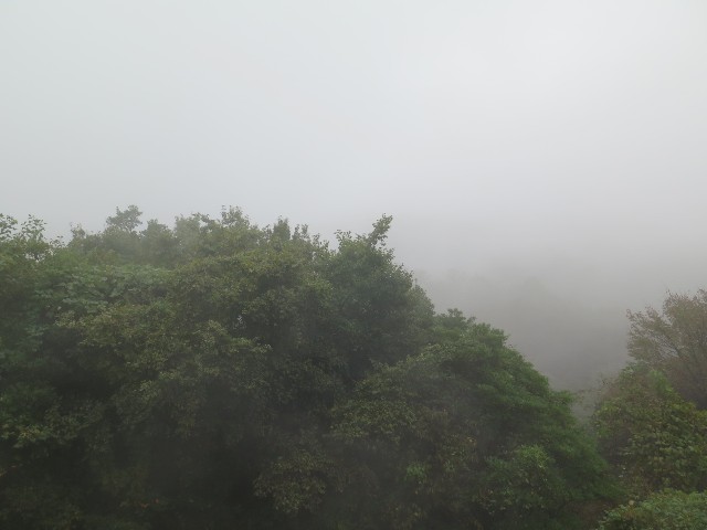 f:id:beat:20241102134310j:image