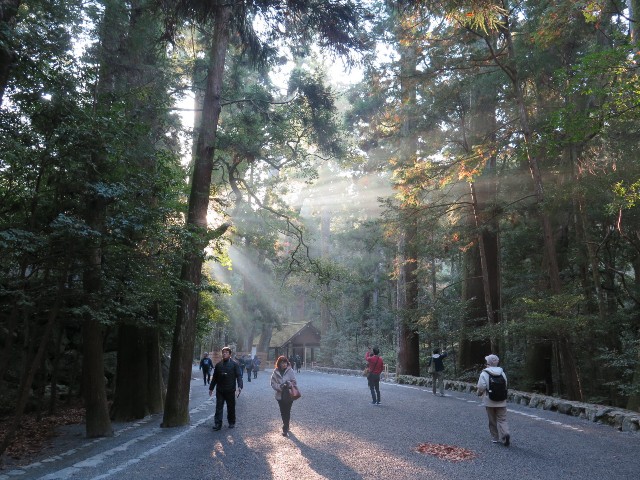 f:id:beat:20251220113325j:image