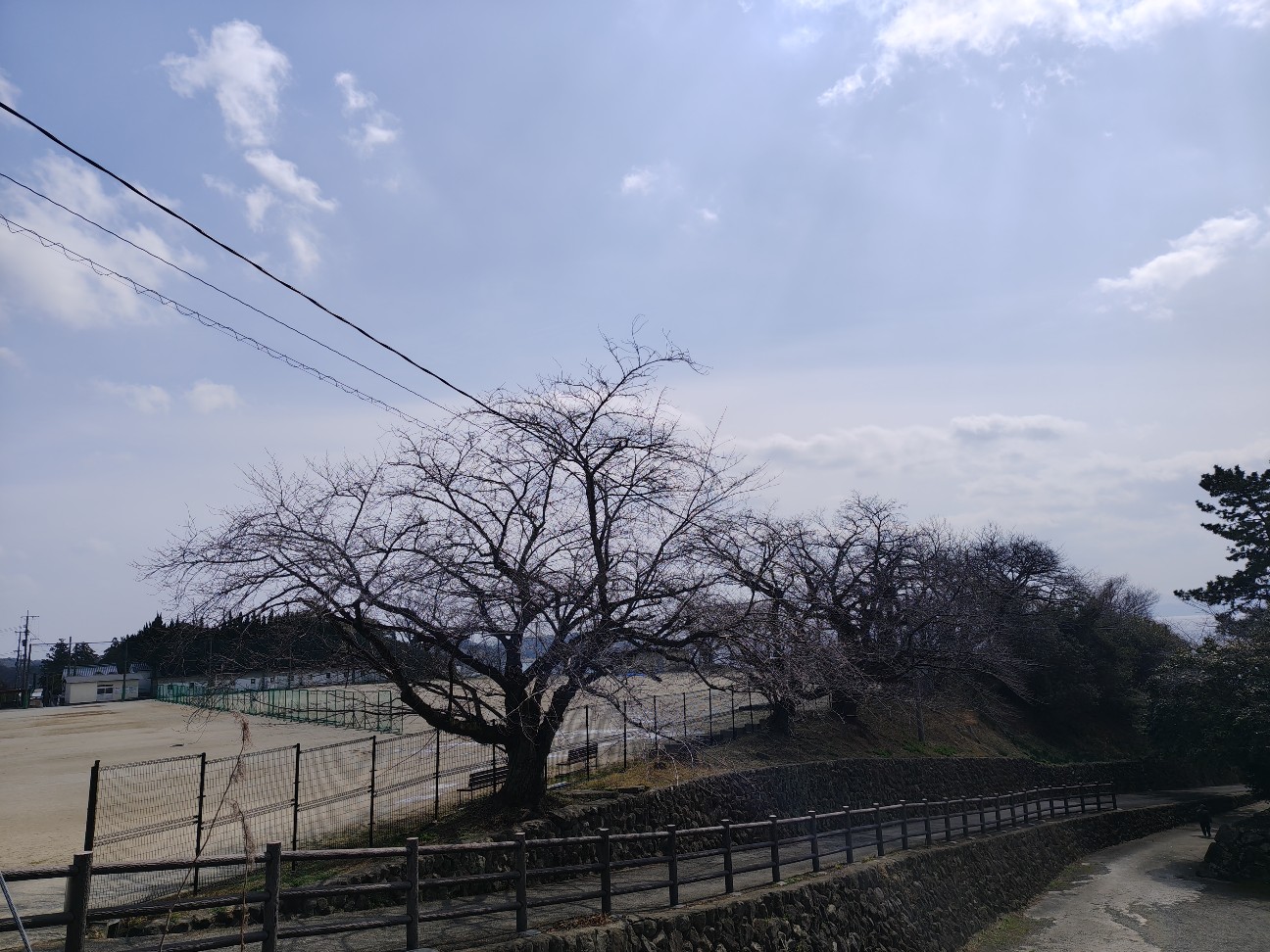 f:id:beat:20260307183529j:image