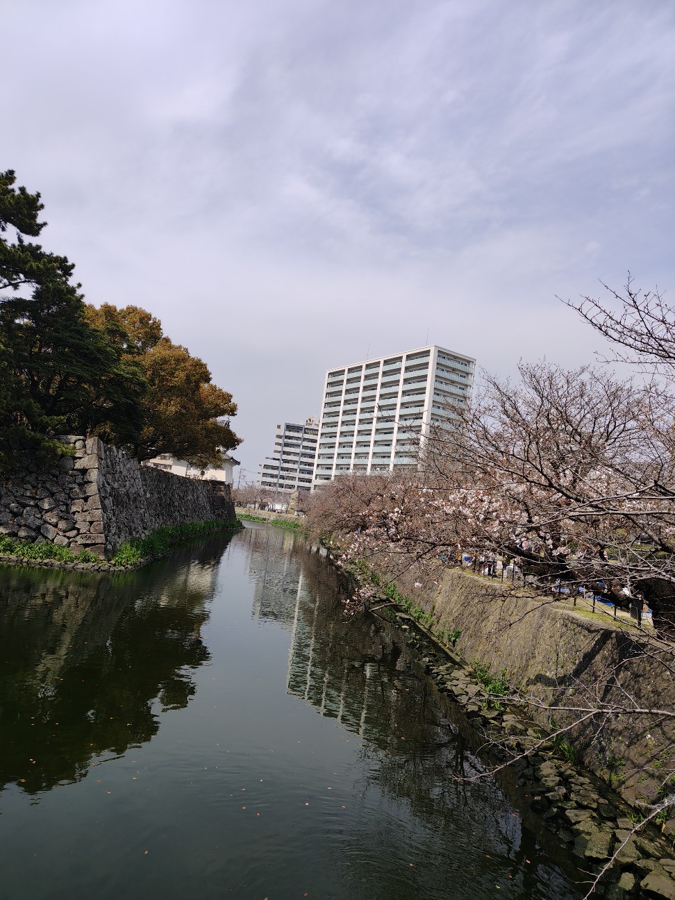 f:id:beat:20260330165423j:image