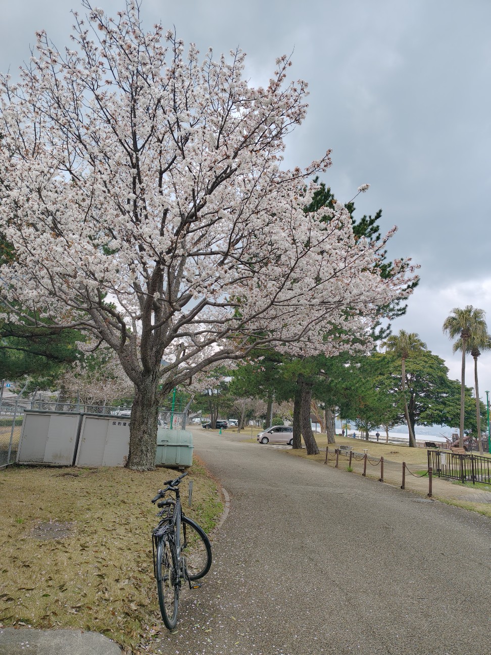 f:id:beat:20260404133457j:image