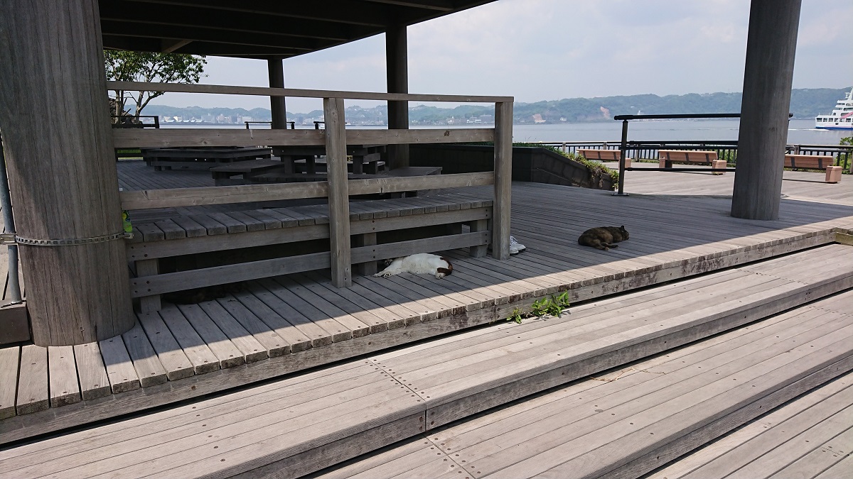 f:id:beat91:20190507205134j:plain