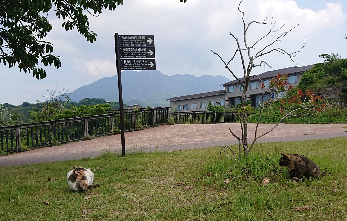 f:id:beat91:20190509194808j:plain