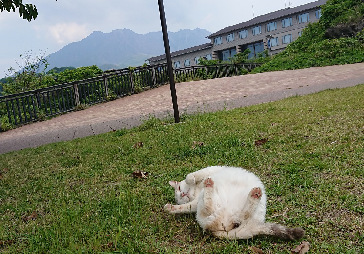 f:id:beat91:20190509194902j:plain