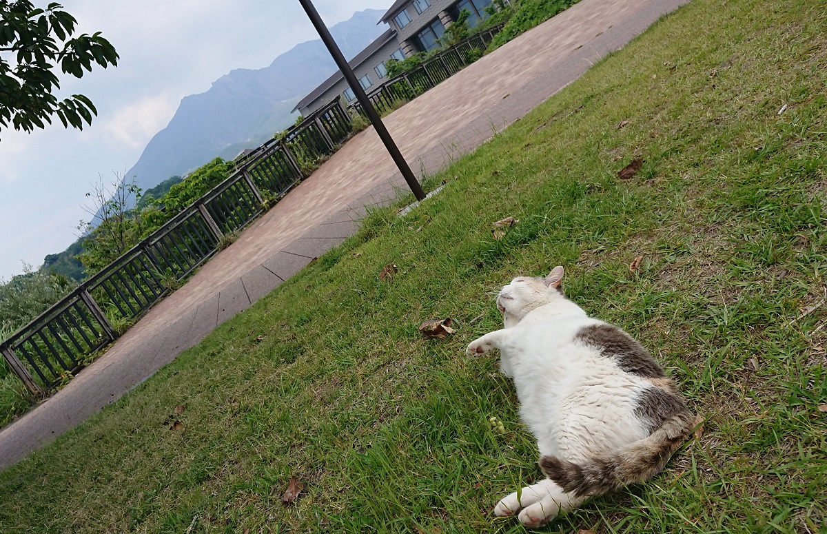 f:id:beat91:20190509195029j:plain