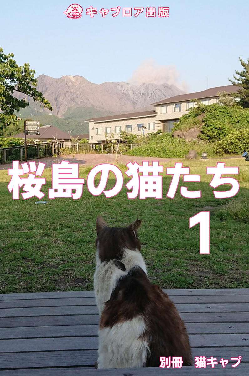 f:id:beat91:20190628064244j:plain