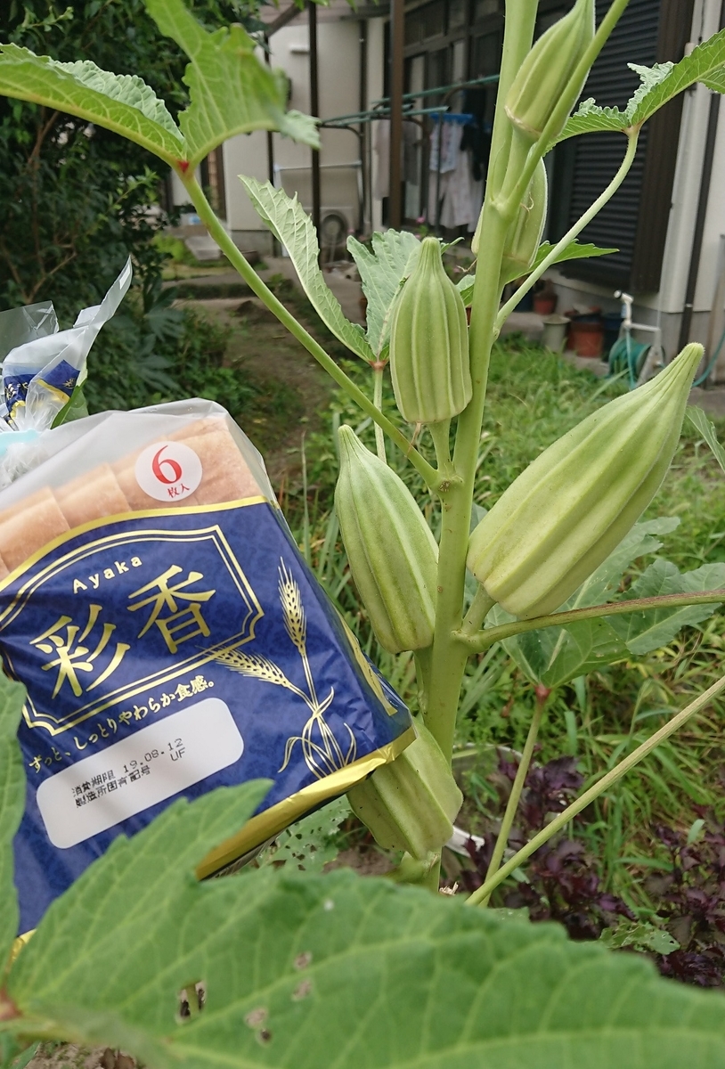 f:id:beat91:20190809191751j:plain