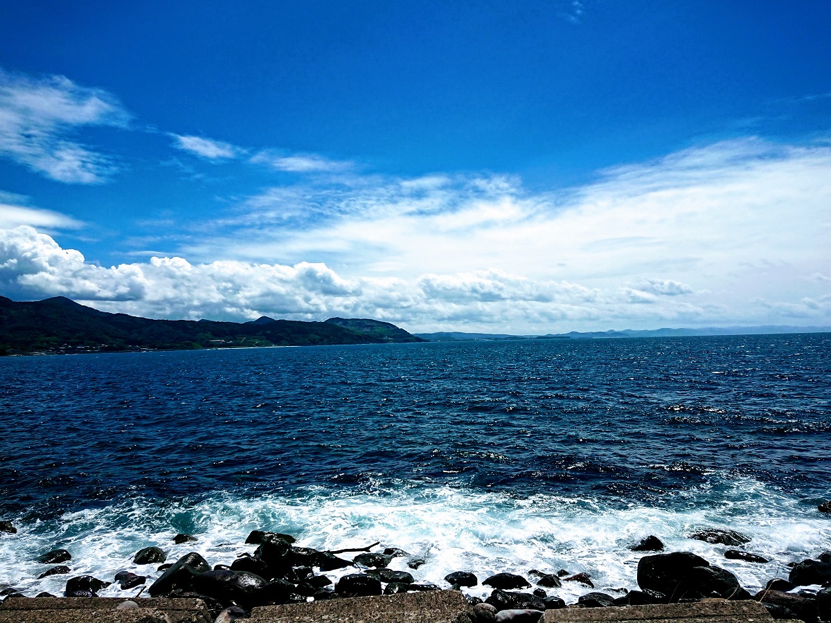 f:id:beat91:20200810134404j:plain