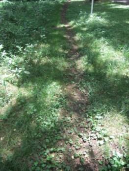 f:id:beatjw:20110806112256j:image