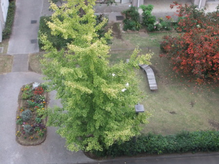 f:id:beatjw:20111103135651j:image