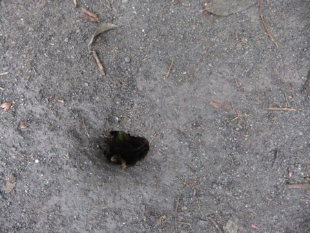f:id:beatjw:20111106121425j:image