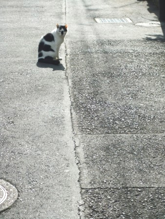 f:id:beatjw:20111109124451j:image
