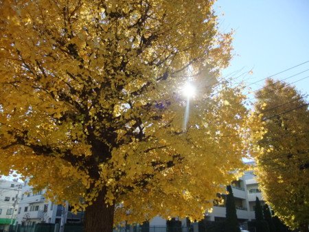 f:id:beatjw:20111211111351j:image
