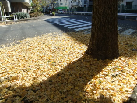 f:id:beatjw:20111211111415j:image