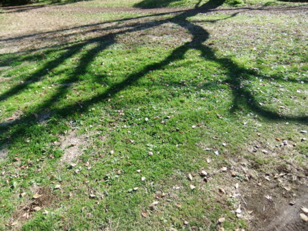 f:id:beatjw:20111211111849j:image