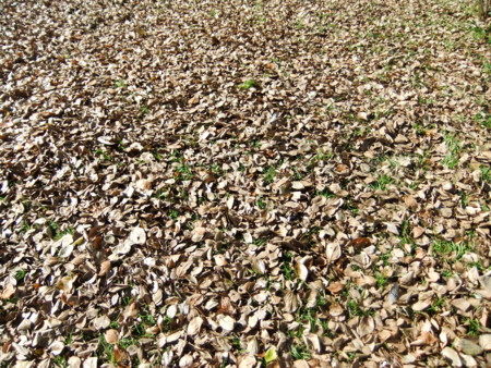 f:id:beatjw:20111211112055j:image