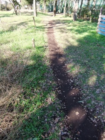 f:id:beatjw:20111211112219j:image
