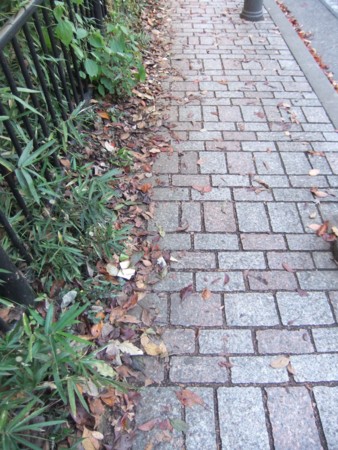 f:id:beatjw:20111211132253j:image