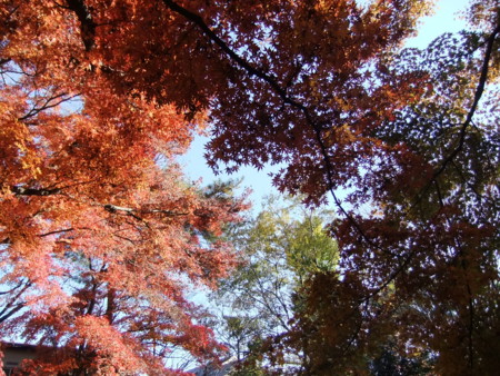 f:id:beatjw:20111211132904j:image