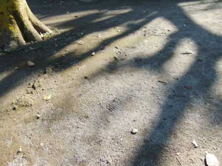 f:id:beatjw:20111212132011j:image