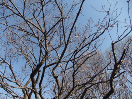 f:id:beatjw:20120212133842j:image