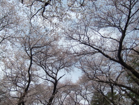 f:id:beatjw:20120407131721j:image