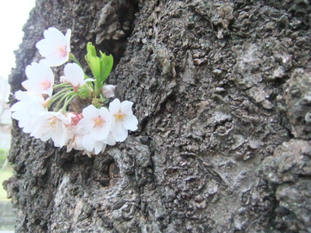 f:id:beatjw:20120407173344j:image