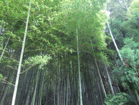 f:id:beatjw:20120623092110j:image