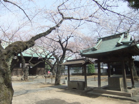 f:id:beatjw:20130320102005j:image