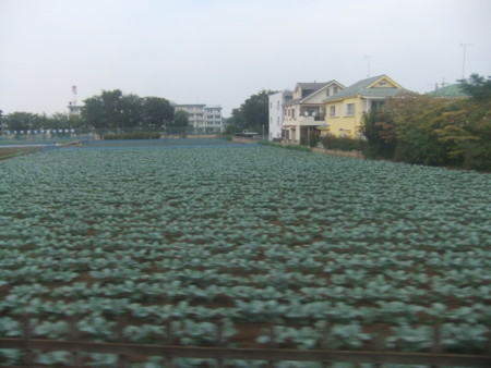 f:id:beatjw:20130922155425j:image