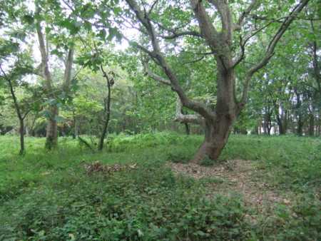 f:id:beatjw:20130923120035j:image