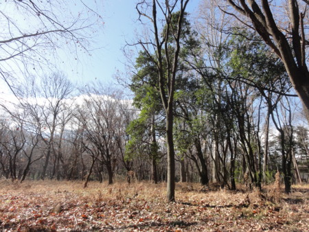 f:id:beatjw:20131228120057j:image