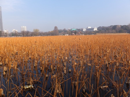 f:id:beatjw:20140203094244j:image