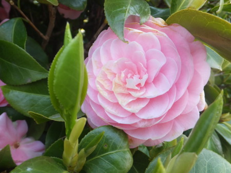 f:id:beatjw:20140419105117j:image