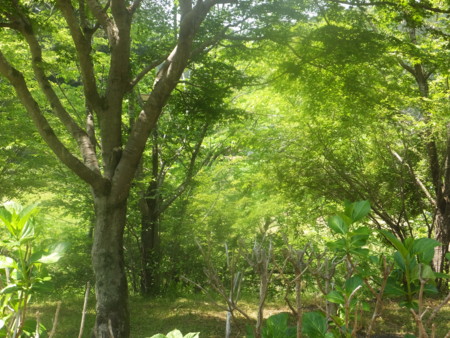 f:id:beatjw:20140524121737j:image