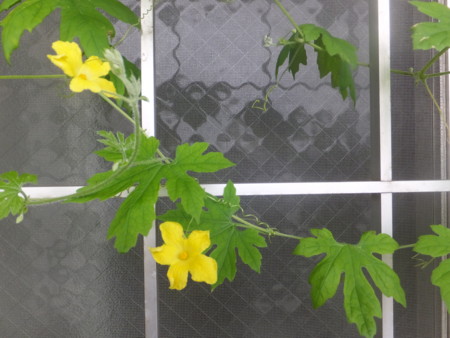 f:id:beatjw:20140907121331j:image