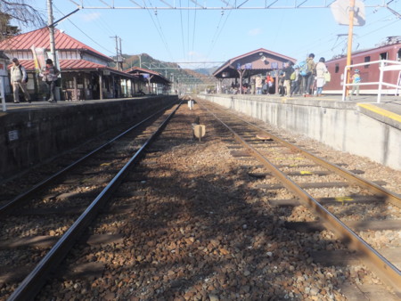 f:id:beatjw:20141123124709j:image