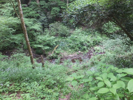f:id:beatjw:20150505103226j:image