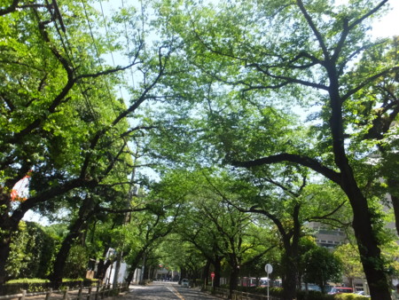 f:id:beatjw:20150510121828j:image