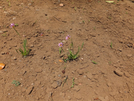 f:id:beatjw:20150510122754j:image