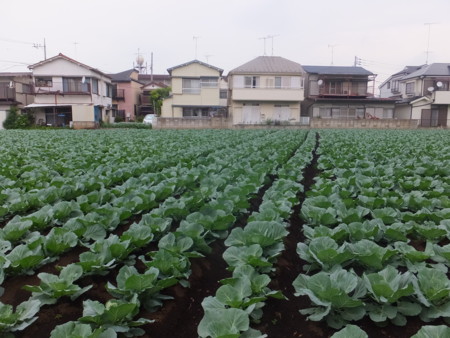 f:id:beatjw:20150516171039j:image