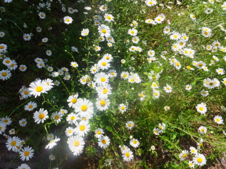 f:id:beatjw:20150517095240j:image