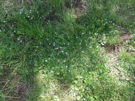 f:id:beatjw:20150517144205j:image