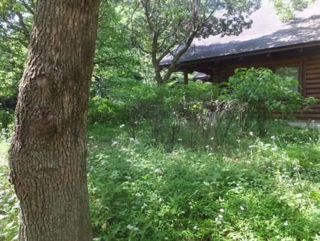 f:id:beatjw:20150517144405j:image