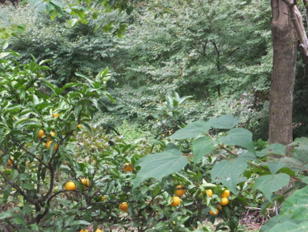 f:id:beatjw:20151023134911j:image