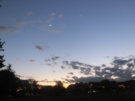 f:id:beatjw:20151115172409j:image