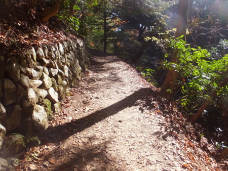 f:id:beatjw:20151205113604j:image
