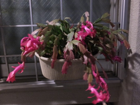 f:id:beatjw:20151213173434j:image
